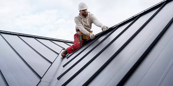 Terms and Conditions