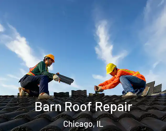  Barn Roof Repair Chicago, IL