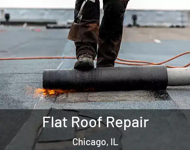  Flat Roof Repair Chicago, IL