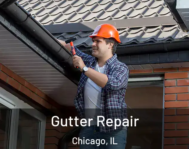  Gutter Repair Chicago, IL