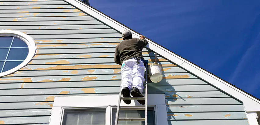 Professional Roof and Siding Repair Services in Chicago, IL