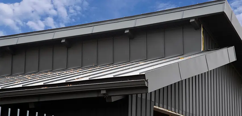 Professional Roof Eaves Installation Services in Chicago, IL