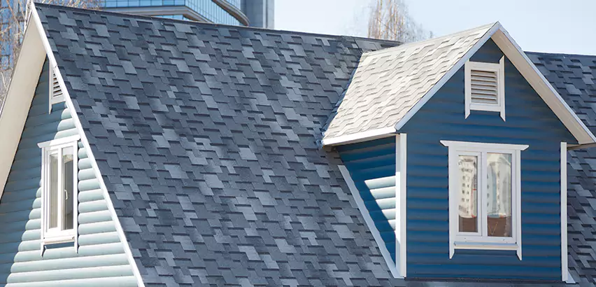 Shingle Roof Maintenance in Chicago