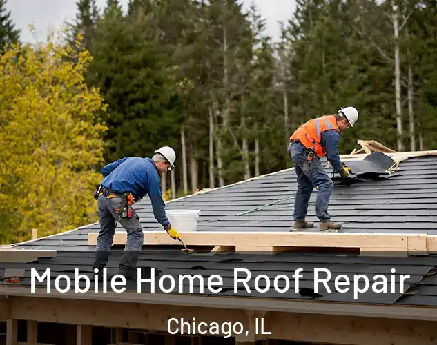  Mobile Home Roof Repair Chicago, IL