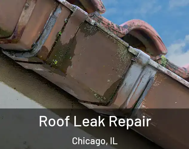  Roof Leak Repair Chicago, IL