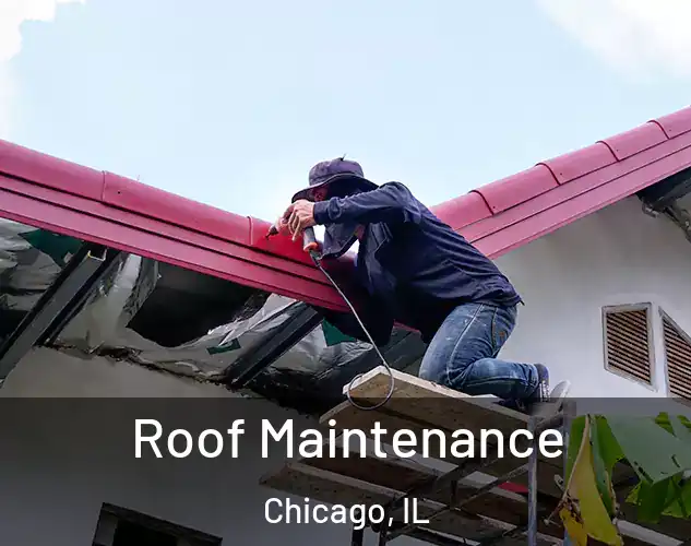  Roof Maintenance Chicago, IL