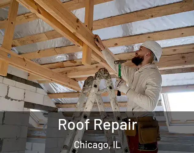  Roof Repair Chicago, IL