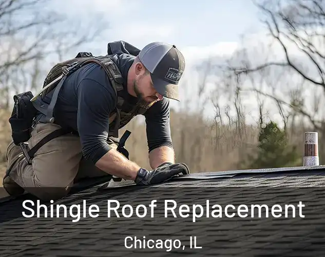 Shingle Roof Replacement Chicago, IL